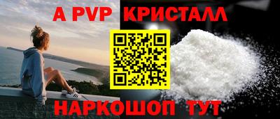 стафф Кингисепп