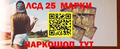 стафф Кингисепп