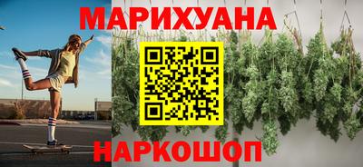 стафф Кингисепп