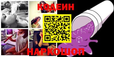 стафф Кингисепп