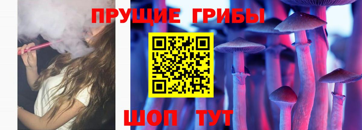Касимов  Псилоцибиновые грибы мицелий  Псилоцибиновые грибы Psilocybine cubensis  Вход с VPN 